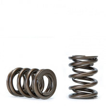 Load image into Gallery viewer, Skunk2 Racing Alpha Series Valve Spring Set for Honda/Acura B16A/B17A/B18C Engines