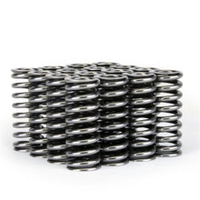 Load image into Gallery viewer, Skunk2 Racing Alpha Series Honda D Series VTEC Valve Spring Set Part #skk311-05-1345
