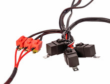 Load image into Gallery viewer, Aeromotive Wiring Harness Kit for Triple Fuel Pump - Part Number aer16313