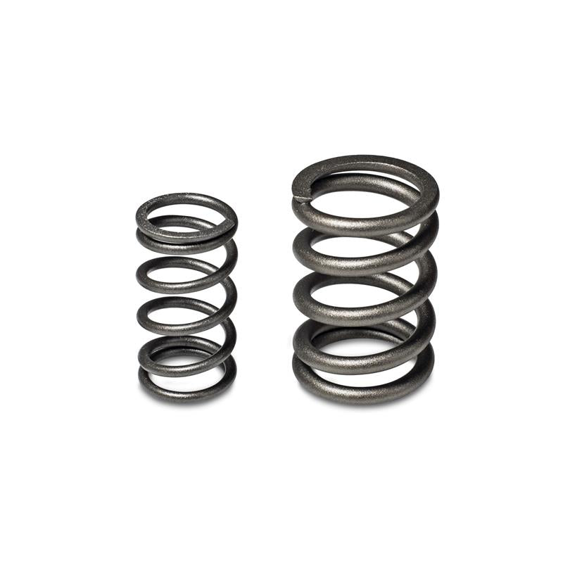 Skunk2 Racing Alpha Series Valve Spring Set for Honda/Acura B16A/B17A/B18C Engines