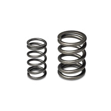 Load image into Gallery viewer, Skunk2 Racing Alpha Series Valve Spring Set for Honda/Acura B16A/B17A/B18C Engines