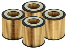 Load image into Gallery viewer, aFe Pro Guard D2 Oil Filter for BMW 2006-2019 Gas Vehicles (Part No. AFE44-LF029-MB) * 4 Pack