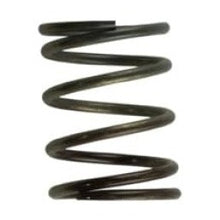 Load image into Gallery viewer, Turbosmart WG40 5 PSI Inner Spring Brown/Grey for Turbo and Wastegate Applications