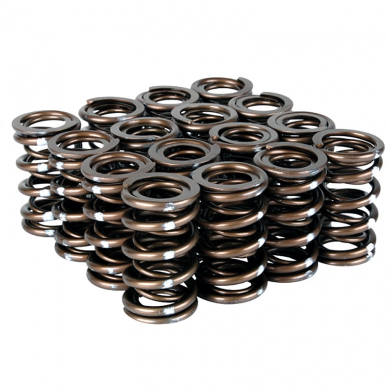 Skunk2 Pro Series Honda/Acura B-Series VTEC XP Valve Spring Set – High-Rpm Race-Grade Dual Springs