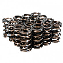 Load image into Gallery viewer, Skunk2 Pro Series Honda/Acura B-Series VTEC XP Valve Spring Set – High-Rpm Race-Grade Dual Springs