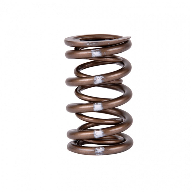 Skunk2 Pro Series Honda/Acura B-Series VTEC XP Valve Spring Set – High-Rpm Race-Grade Dual Springs