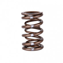 Load image into Gallery viewer, Skunk2 Pro Series Honda/Acura B-Series VTEC XP Valve Spring Set – High-Rpm Race-Grade Dual Springs