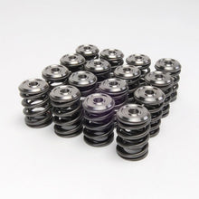 Load image into Gallery viewer, Skunk2 Racing Alpha Valve Spring Set for Honda/Acura K-Series VTEC Engines – Performance and Reliability