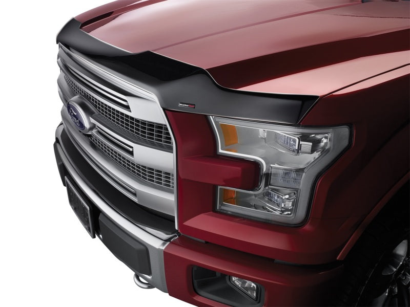 WeatherTech Hood Protector for Ford F-150 (2009-2014) - Custom Fit, Low Profile Bug and Debris Shield in Dark Smoke