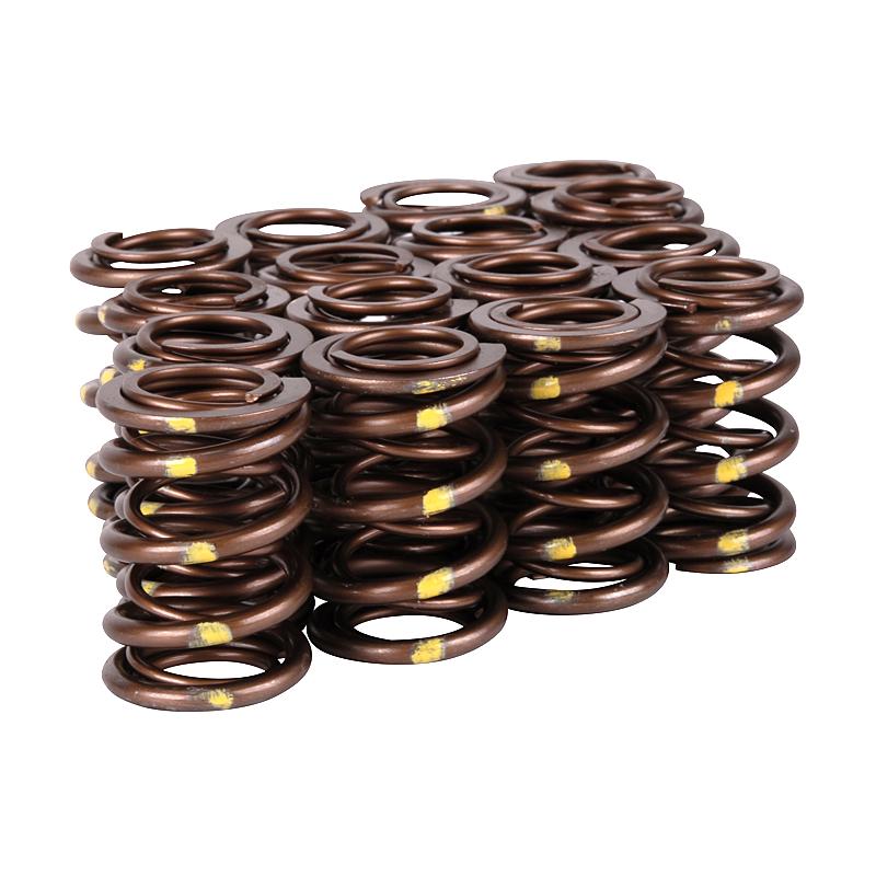 Skunk2 Pro Series Honda/Acura B-Series VTEC XP Valve Spring Set – High-Rpm Race-Grade Dual Springs