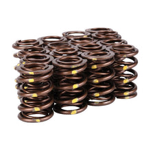 Load image into Gallery viewer, Skunk2 Pro Series Honda/Acura B-Series VTEC XP Valve Spring Set – High-Rpm Race-Grade Dual Springs