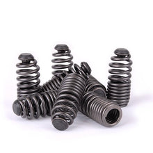 Load image into Gallery viewer, Skunk2 Racing Honda/Acura VTEC B Series Spring Type Lost Motion Assembly Kit (Part # skk312-05-0200)