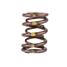 Load image into Gallery viewer, Skunk2 Pro Series Honda/Acura B-Series VTEC XP Valve Spring Set – High-Rpm Race-Grade Dual Springs