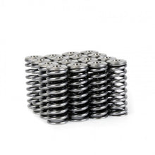 Load image into Gallery viewer, Skunk2 Alpha Series Valve Spring and Titanium Retainer Kit for Honda D-Series Engines
