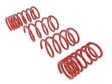 Load image into Gallery viewer, Skunk2 Racing Lowering Springs for 2013+ Subaru BRZ and Scion FR-S – Set of 4