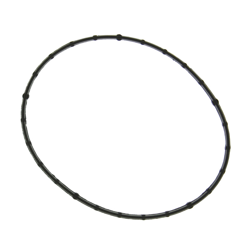 Fel-Pro Fuel Injection Throttle Body Mounting Gasket for Ford F-150 and Mustang, Part Number FEL-61698