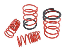 Load image into Gallery viewer, Skunk2 Racing 05-06 Acura RSX Lowering Springs Set of 4 - 2.25 Inch Front and 2.00 Inch Rear Drop