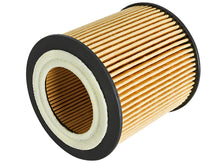 Load image into Gallery viewer, aFe Pro Guard D2 Oil Filter for BMW 3.0L Gas Engines (Part #AFE44-LF029)