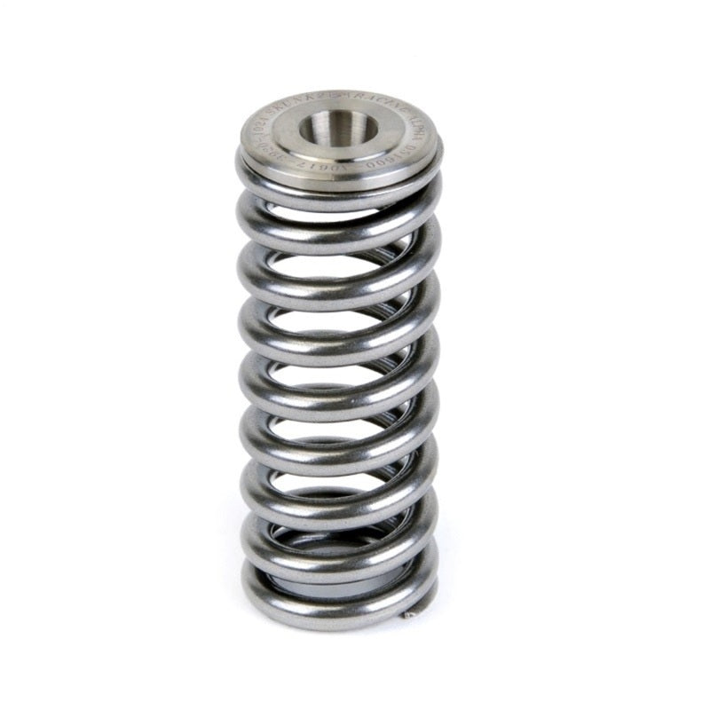 Skunk2 Alpha Series Valve Spring and Titanium Retainer Kit for Honda D-Series Engines