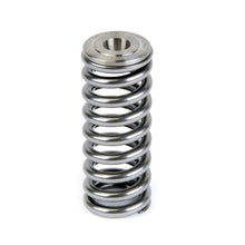 Load image into Gallery viewer, Skunk2 Alpha Series Valve Spring and Titanium Retainer Kit for Honda D-Series Engines