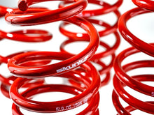 Load image into Gallery viewer, Skunk2 Racing Lowering Springs for Honda Civic 2012-2015 – Improved Handling &amp; Ride Comfort