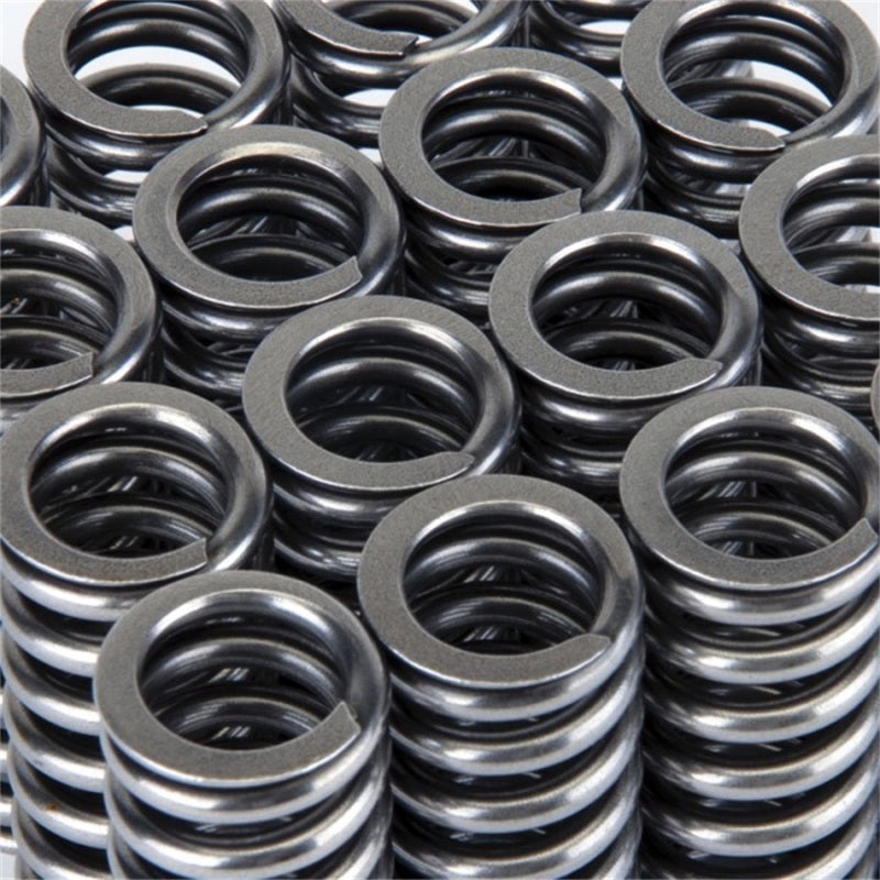 Skunk2 Racing Alpha Series Honda D Series VTEC Valve Spring Set Part #skk311-05-1345