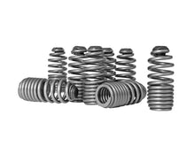 Load image into Gallery viewer, Skunk2 Racing Honda/Acura VTEC B Series Spring Type Lost Motion Assembly Kit (Part # skk312-05-0200)
