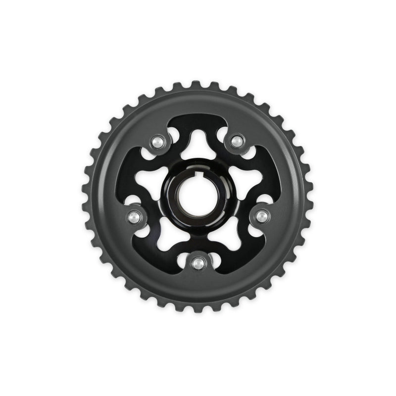 AEM Tru-Time Adjustable Camshaft Gear for Honda D16 Engines - Black Anodized, 5-Bolt Design