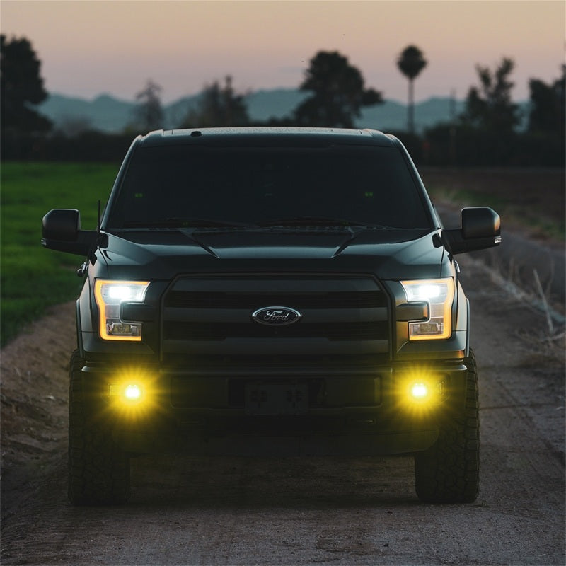 Rigid Industries D-Series SAE Fog Light Pair with Yellow and White LEDs
