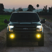 Load image into Gallery viewer, Rigid Industries D-Series SAE Fog Light Pair with Yellow and White LEDs