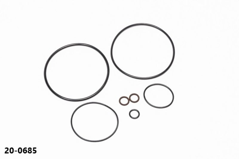 Radium Engineering AOS-R O-Ring Service Kit for Automotive Fuel Systems
