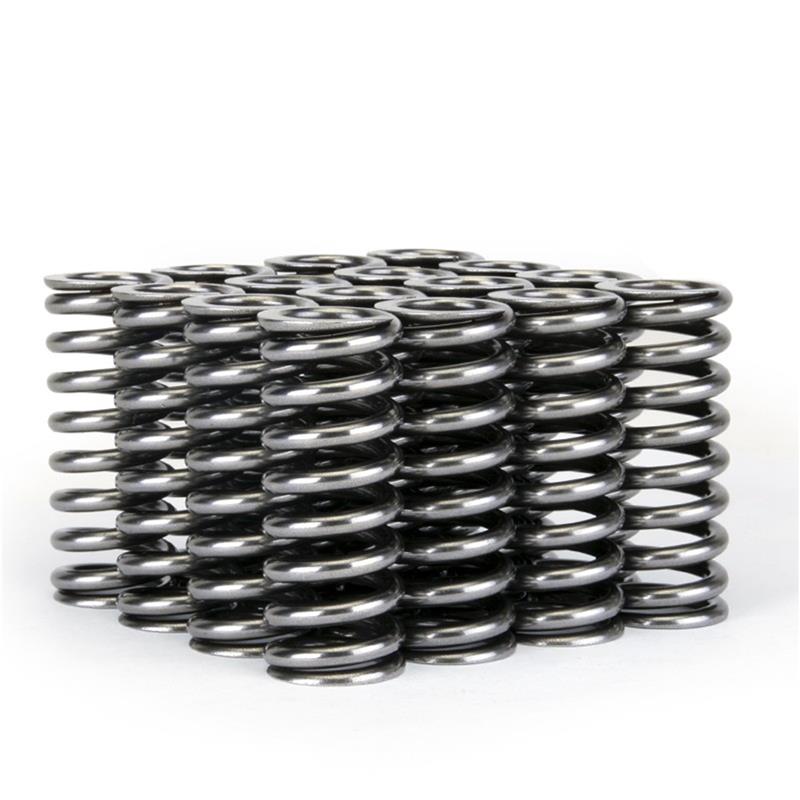 Skunk2 Racing Alpha Series Honda D Series VTEC Valve Spring Set Part #skk311-05-1345