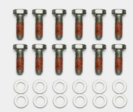 Wilwood Bolt Kit - 5/16-18 x 1.00 Inch Length - 12 Pack | Part Number: Wil230-14086