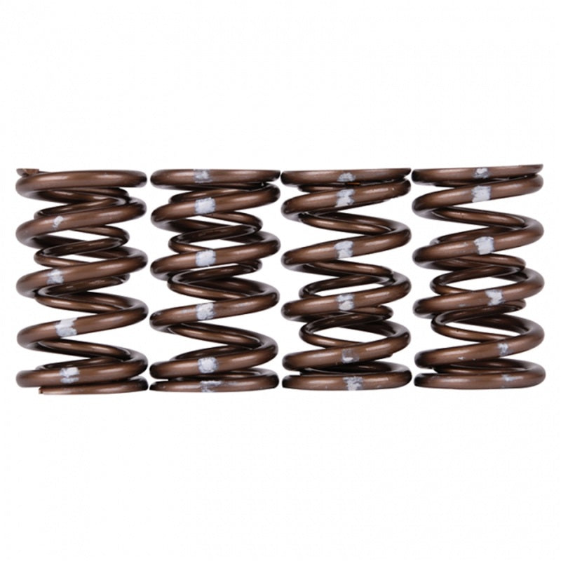 Skunk2 Pro Series Honda/Acura B-Series VTEC XP Valve Spring Set – High-Rpm Race-Grade Dual Springs