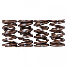 Load image into Gallery viewer, Skunk2 Pro Series Honda/Acura B-Series VTEC XP Valve Spring Set – High-Rpm Race-Grade Dual Springs