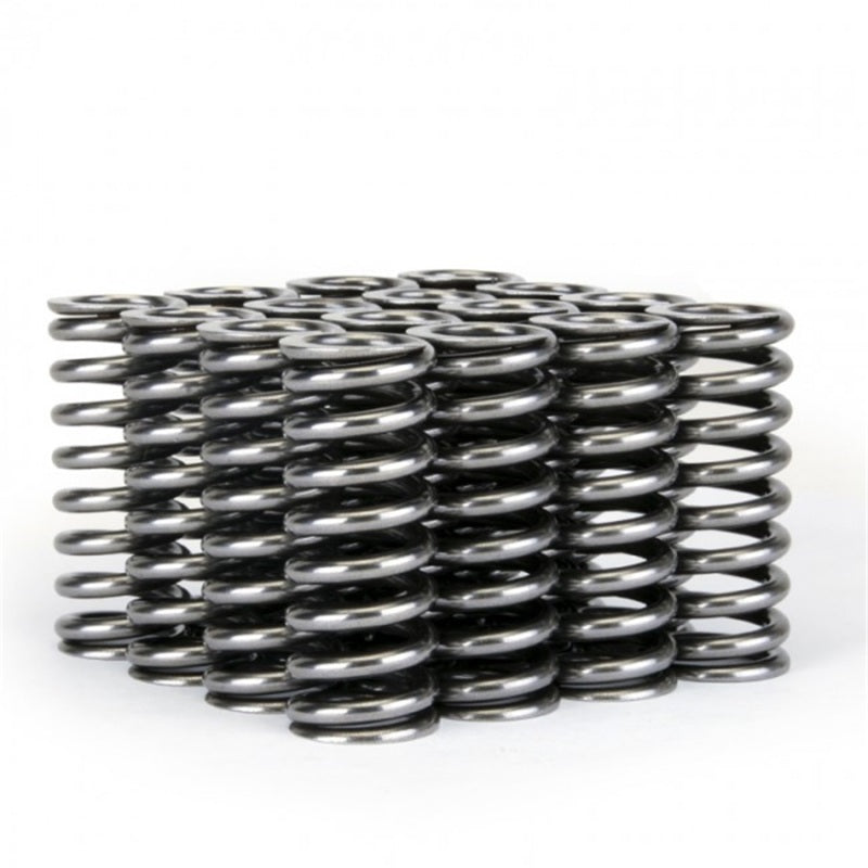 Skunk2 Racing Alpha Series Honda D Series VTEC Valve Spring Set Part #skk311-05-1345