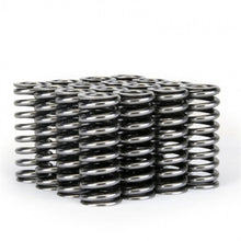 Load image into Gallery viewer, Skunk2 Racing Alpha Series Honda D Series VTEC Valve Spring Set Part #skk311-05-1345