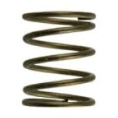 Load image into Gallery viewer, Turbosmart Gen-V WG45/50 3psi Orange Inner Spring - High-Performance Automotive Part