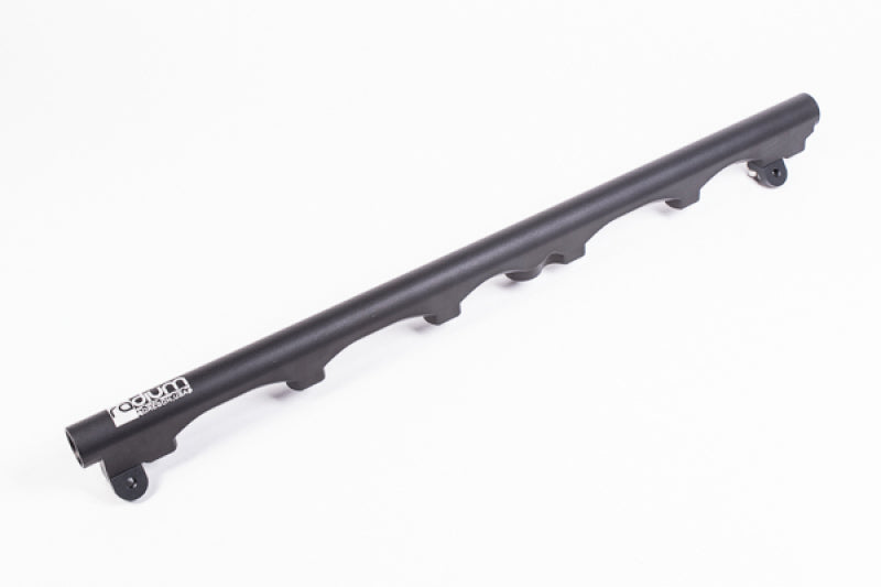 Radium Engineering BMW E46 M3 (S54) Fuel Rail Kit – Precision Laser Etched and Anodized for Optimal Performance
