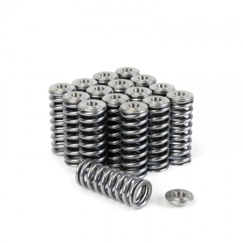 Skunk2 Alpha Series Valve Spring and Titanium Retainer Kit for Honda D-Series Engines