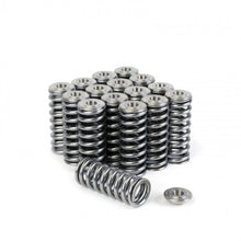 Load image into Gallery viewer, Skunk2 Alpha Series Valve Spring and Titanium Retainer Kit for Honda D-Series Engines
