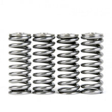 Load image into Gallery viewer, Skunk2 Alpha Series Valve Spring and Titanium Retainer Kit for Honda D-Series Engines
