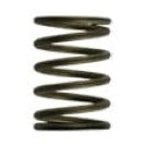 Load image into Gallery viewer, Turbosmart Gen-V WG38/40 3psi Black Inner Spring for External Wastegate Setup