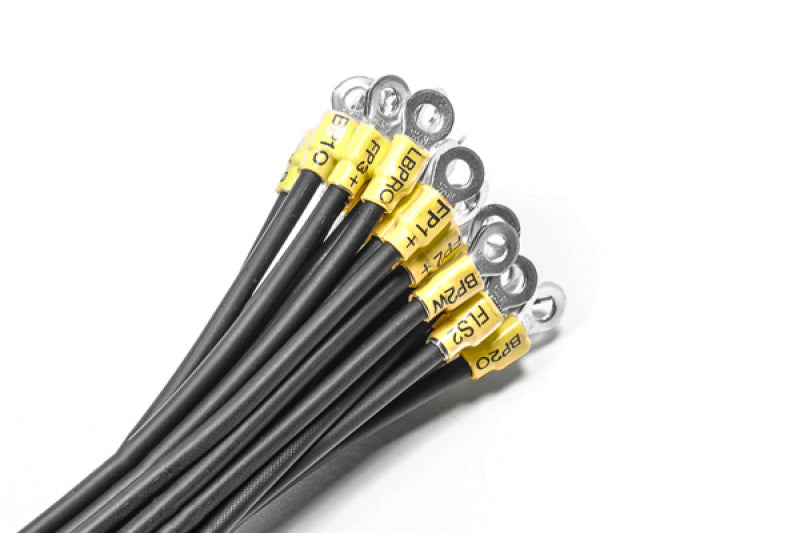 Radium Engineering Fuel Cell Subharness Kit for FCST-X and FCST