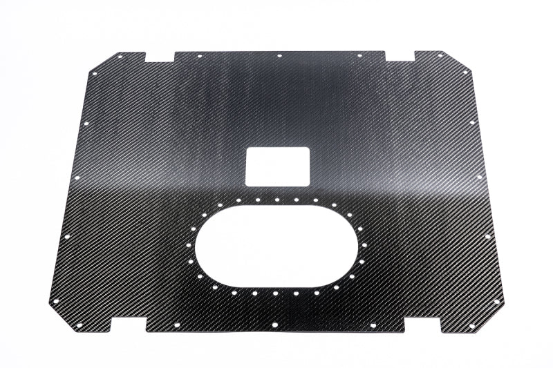 Radium Engineering Carbon Fiber Fuel Cell Lid for 22 Gallon Fuel Cells