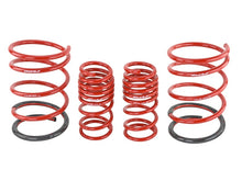 Load image into Gallery viewer, Skunk2 Racing Lowering Springs for 2001-2005 Honda Civic – Improved Handling and Ride Quality
