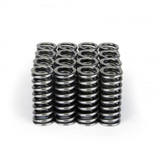 Load image into Gallery viewer, Skunk2 Racing Alpha Series Honda D Series VTEC Valve Spring Set Part #skk311-05-1345