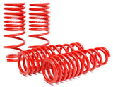 Skunk2 Racing Lowering Springs for Honda Civic and Del Sol 92-95, 2.5in Front / 2.25in Rear Drop - Part # skk519-05-1480