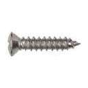 100Pcs Chrome Sheet Metal Screws - 8 x 1