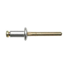 Load image into Gallery viewer, 25Pcs Alum Window Reg Peel Rivets - 1/4&quot; Dia 9/64&quot; - 3/16&quot; G/R